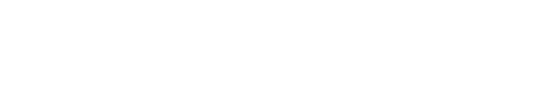 Car Pair Logo